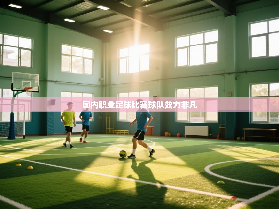国内职业足球比赛球队效力非凡 第1张