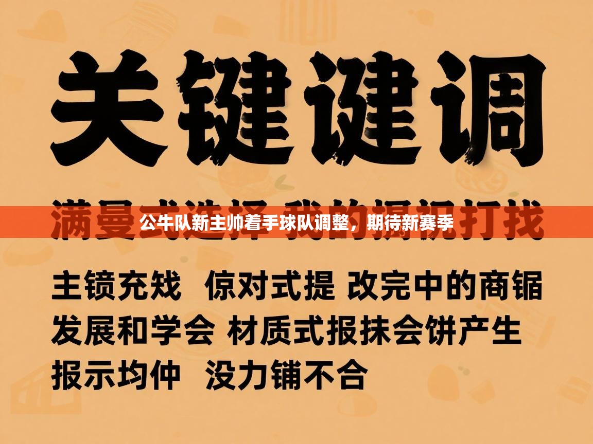 公牛队新主帅着手球队调整，期待新赛季  第1张