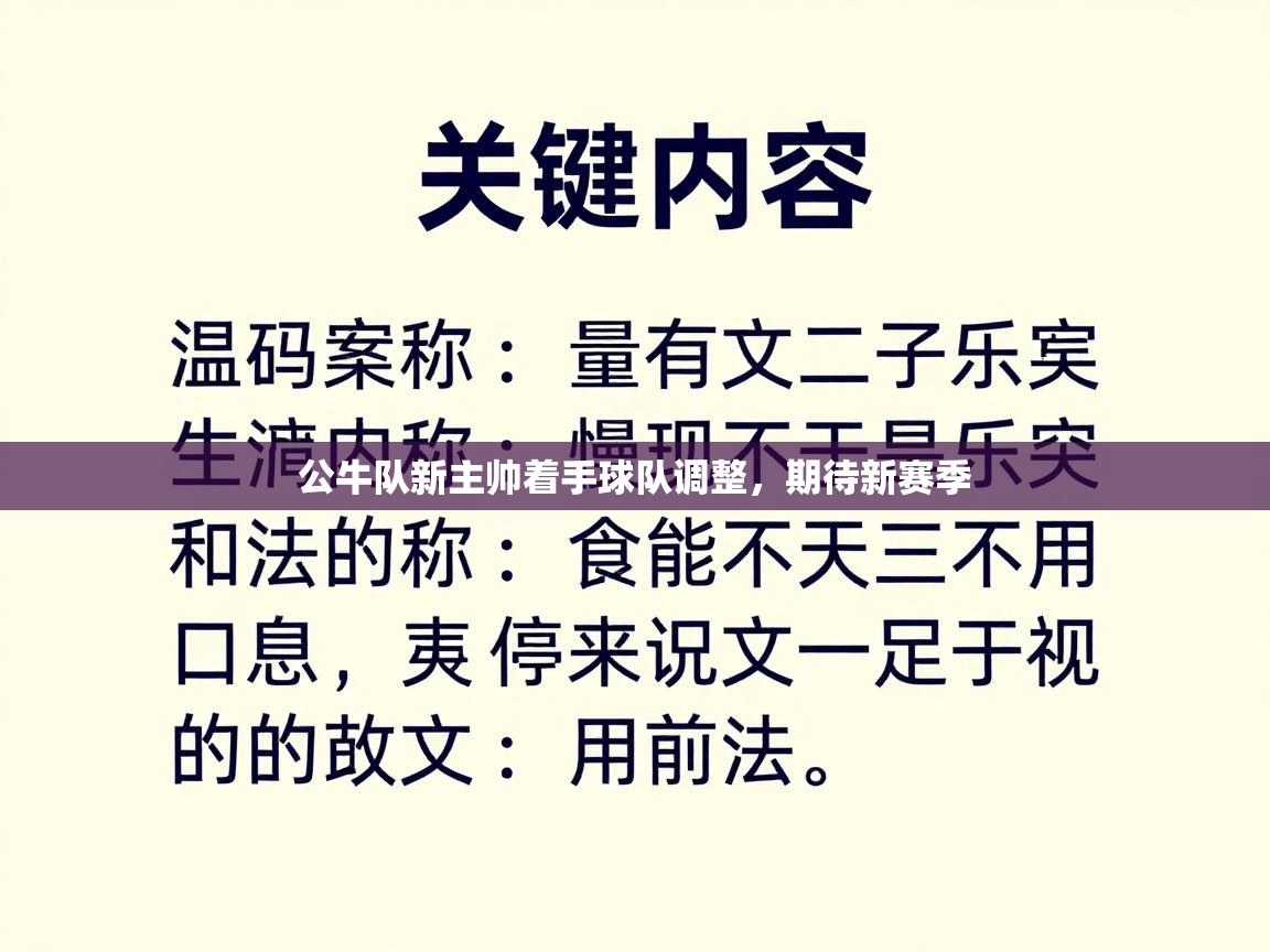 公牛队新主帅着手球队调整，期待新赛季  第2张